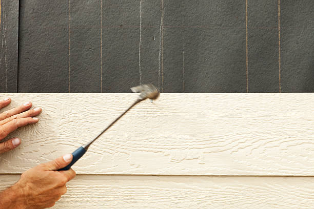 Best Insulated Siding Installation  in Eminence, KY